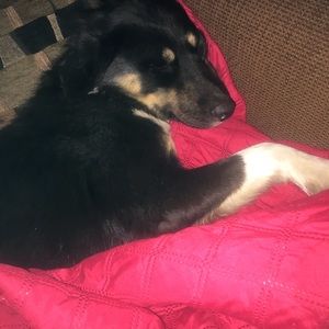 Meet your Posher, Desiree